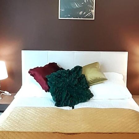 Luxury Apartment - Rakowicka 6 克拉科夫 外观 照片