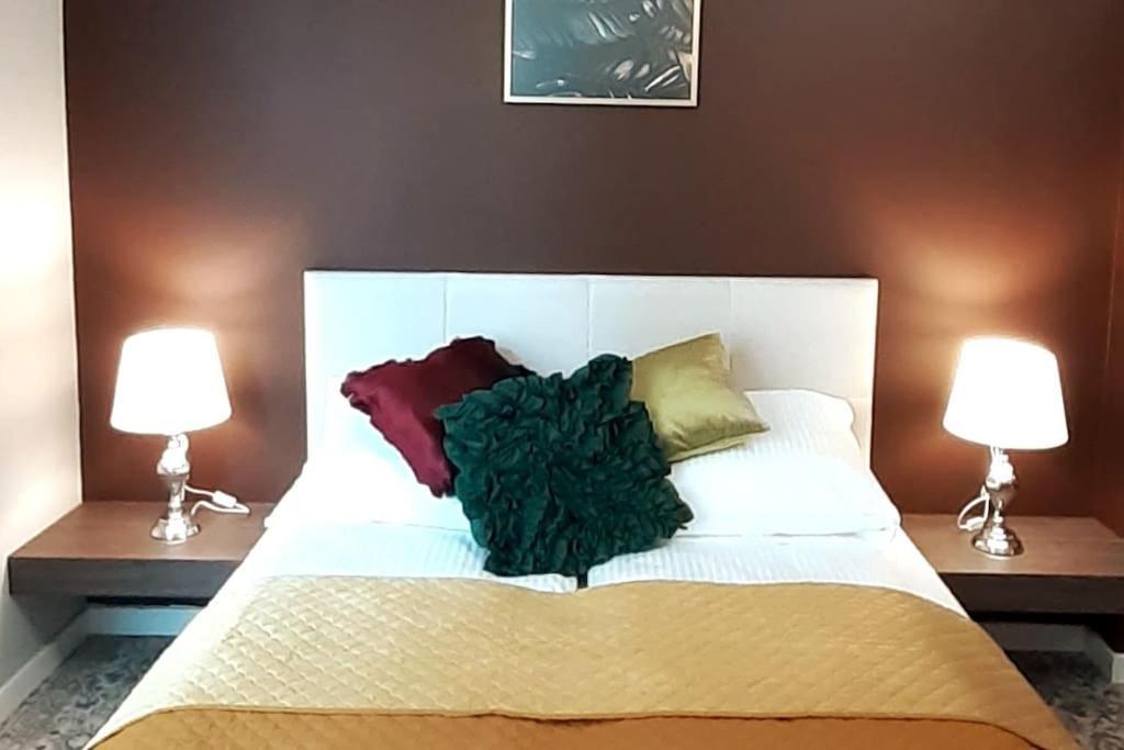 Luxury Apartment - Rakowicka 6 克拉科夫 外观 照片